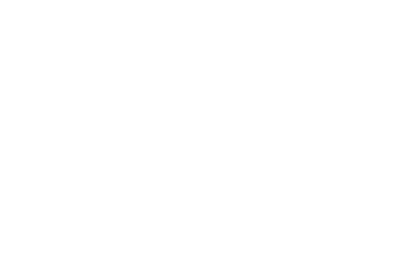 Home and Hue Logo White